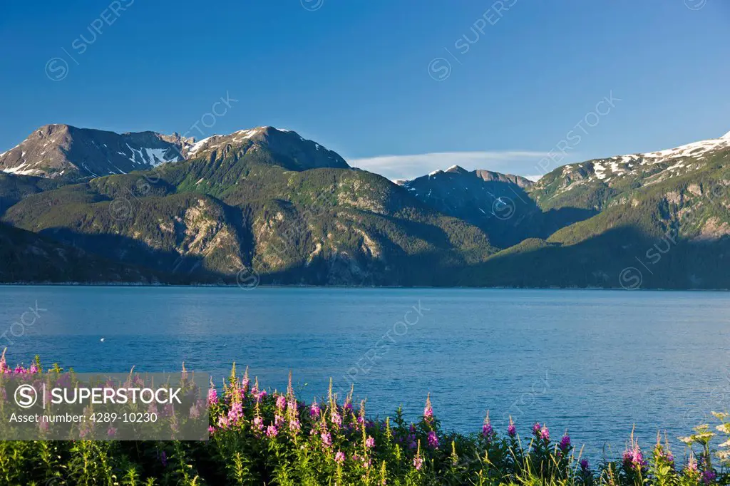View across Lutak Inlet towards the Coastal Mountain Range and Mt. Villard, Haines, Southeast Alaska, Summer