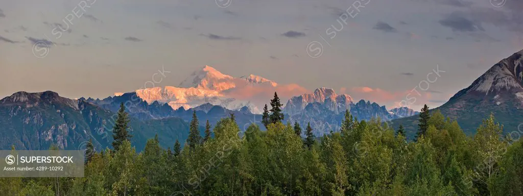 Sunrise alpenglow lights up Mount McKinley and the Moose´s Tooth, as seen from the Veterans Memorial in Denali State Park, Alaska, Summer