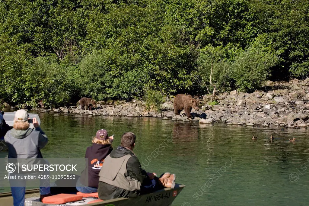 Tourists Watching A Grizzly Near Wolverine Creek On Big River Lakes In Southcentral Alaska During Summer
