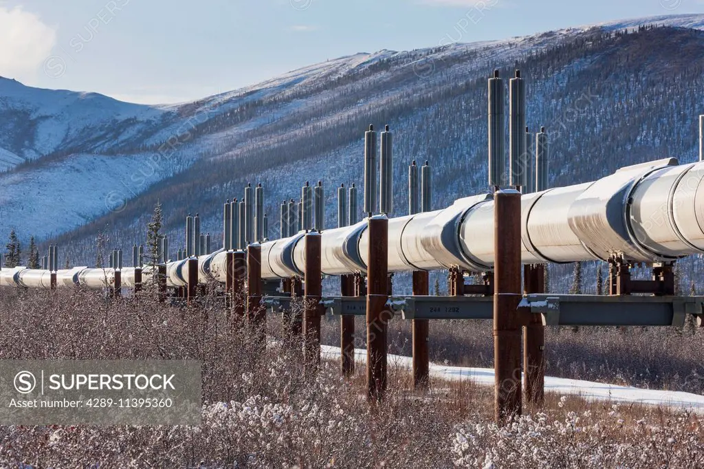 Trans Alaska oil pipeline traverses the winter tundra of Alaska, Arctic Alaska