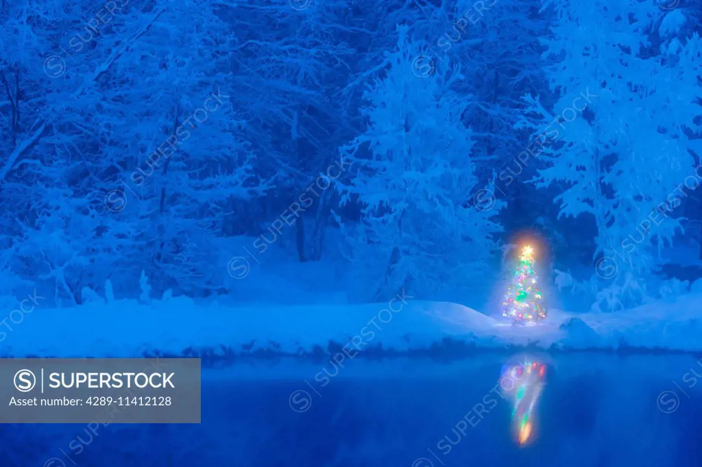 Decorated Christmas Tree Reflected In A Stream With Hoarfrost Covered Forest Behind It During Winter