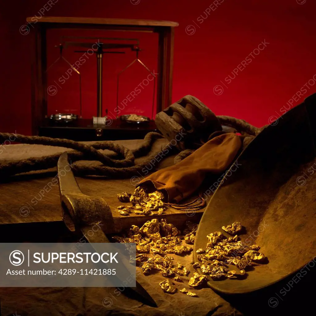 Gold Nuggets In Gold Pan Studio Portrait