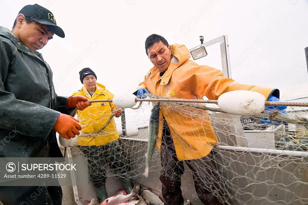 Native family hauls in their set net while commercial fishing for sockeye salmon in Bristol Bay, Southwest AK, Summer
