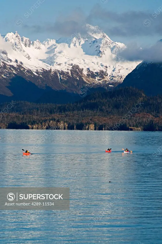 Two people sea kayaking in the calm waters of Kachemak Bay with fresh snow on the Kenai Mountains in the background, Kachemak Bay State Marine Park, K...