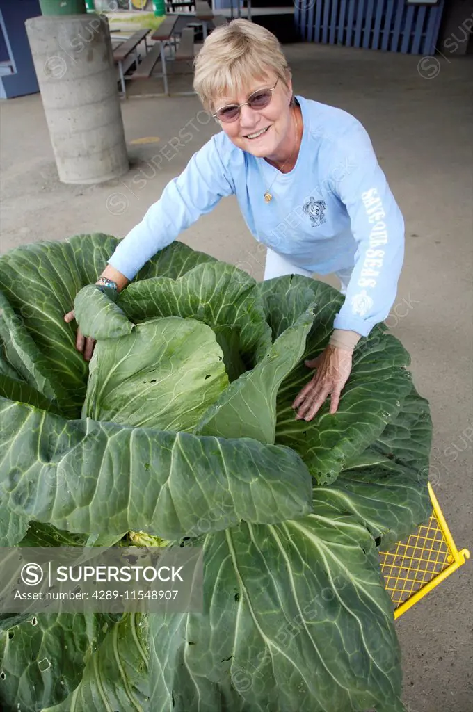Man & Woman Pose With Their Giant Cabbage At The Alaska State Fair In Palmer, Alaska