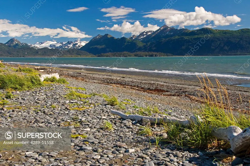 Scenic view of Kachemak Bay along the Homer boardwalk and beach, Kenai Peninsula, Southcentral Alaska, Summer