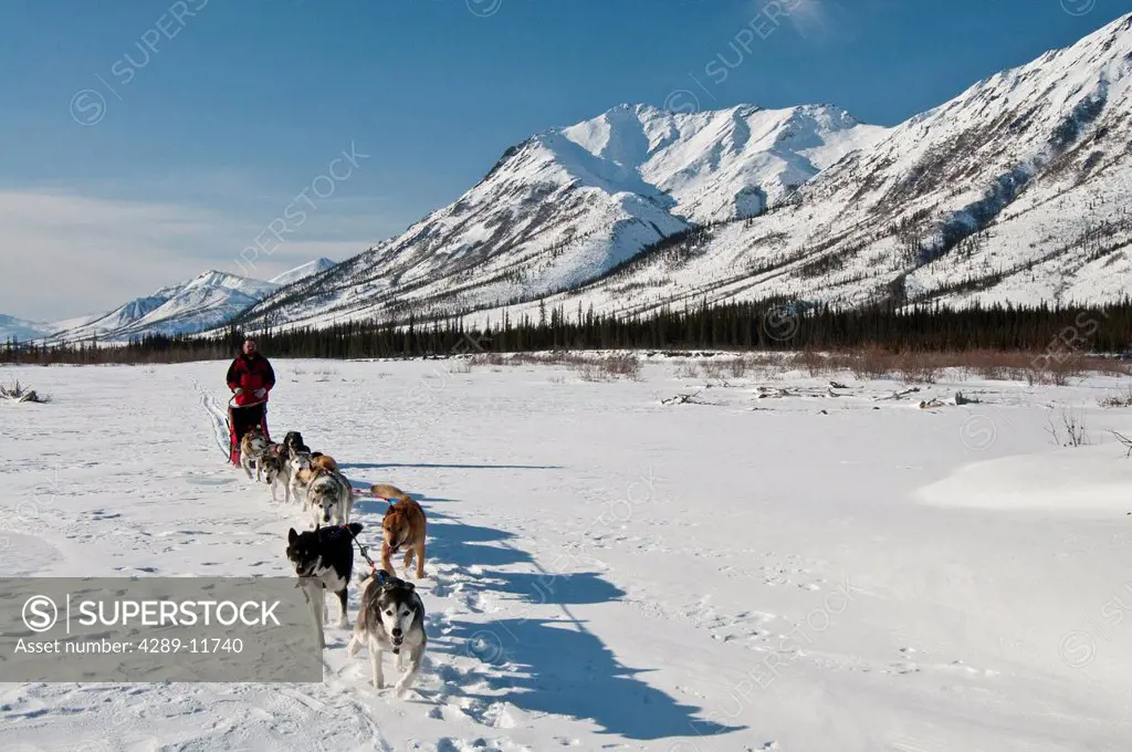 A musher takes his team up the North Fork of the Koyukuk River in Gates of the Arctic National Park & Preserve, Arctic Alaska, Winter