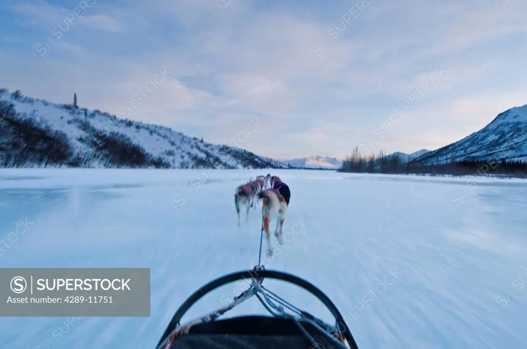 Musher´s perspective while mushing down the North Fork of the Koyukuk River in Gates of the Arctic National Park & Preserve, Arctic Alaska, Winter