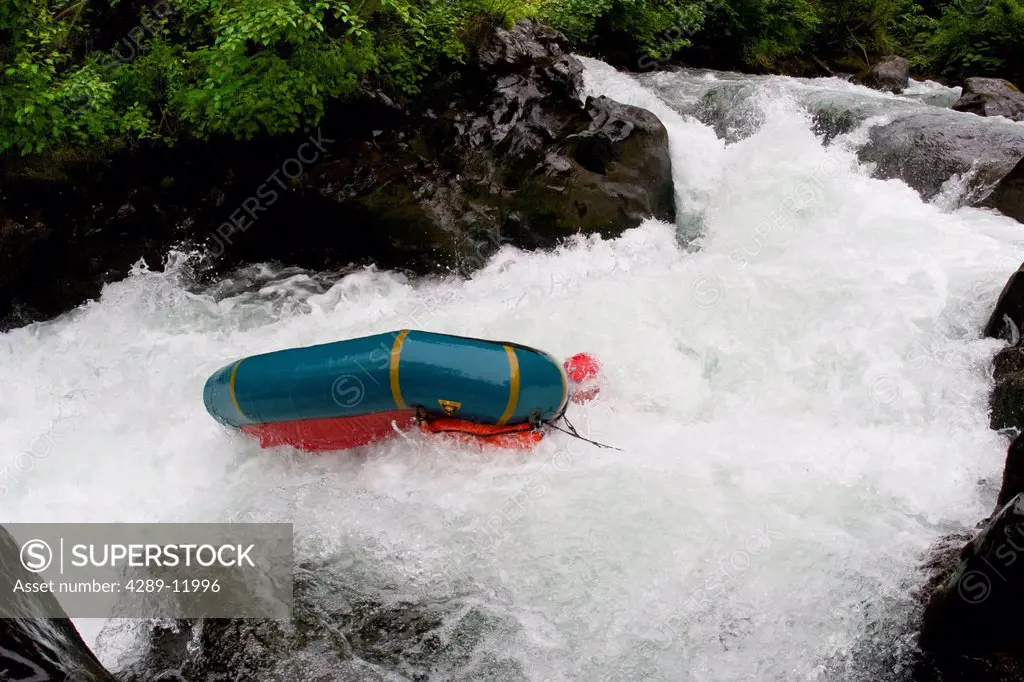 Man flips over and swimming in whitewater while packrafting on the lower Ship Creek, near Anchorage, Southcentral Alaska, Summer