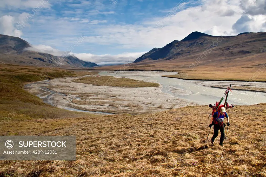 Backpacker carrying skis above the Hulahula River on the approach to Mount Chamberlin, Brooks Range, Arctic National Wildlife Refuge, Summer in Arctic...