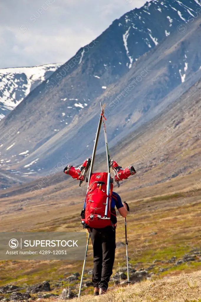 Backpacker carrying skis up Katak Creek valley on the approach to the summit of Mount Chamberlin, Brooks Range, Arctic National Wildlife Refuge, Summe...