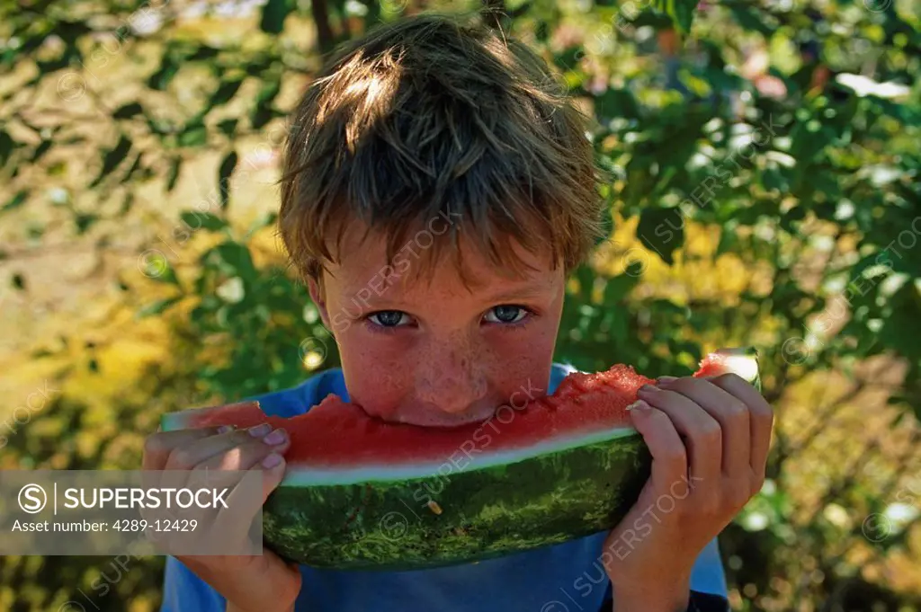 Young boy biting into juicy watermelon USA