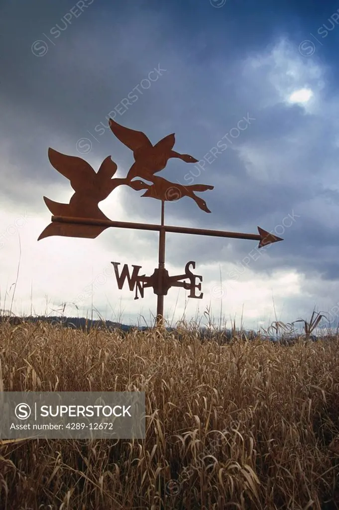 Weather vane in tall grass early spring USA