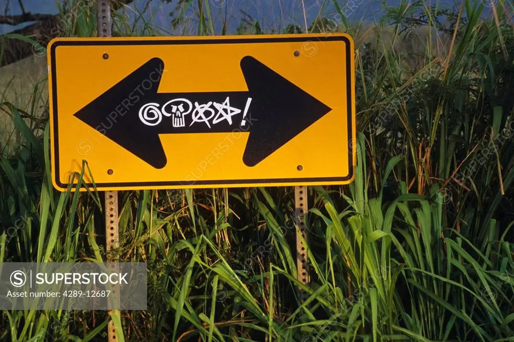 Grafitti marked direction road sign in tall grass USA Summer