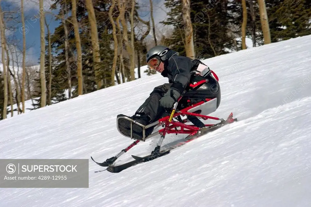 Mono_skier skiing down slope at ski_camp in Telluride Colorado