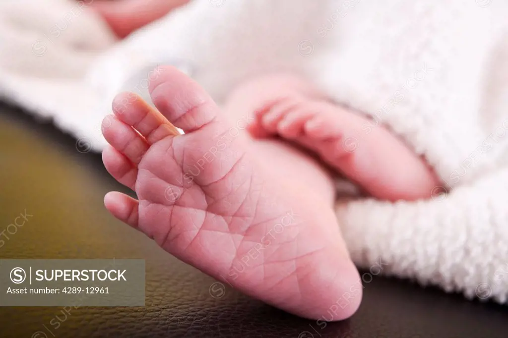 Newborn infant´s feet sticking out from under a white blanket laying on black leather sofa Causasian Alaska United States