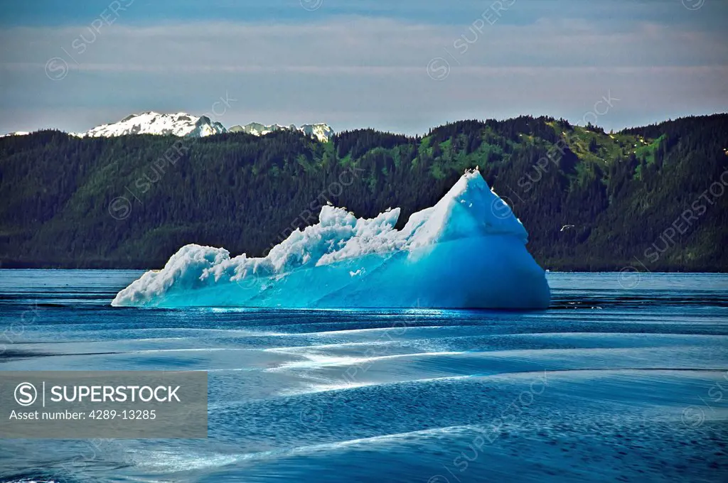 Large iceberg floats in Endicott Arm in Tracy Arm_Fords Terror Wilderness in Southeast Alaska, Summer