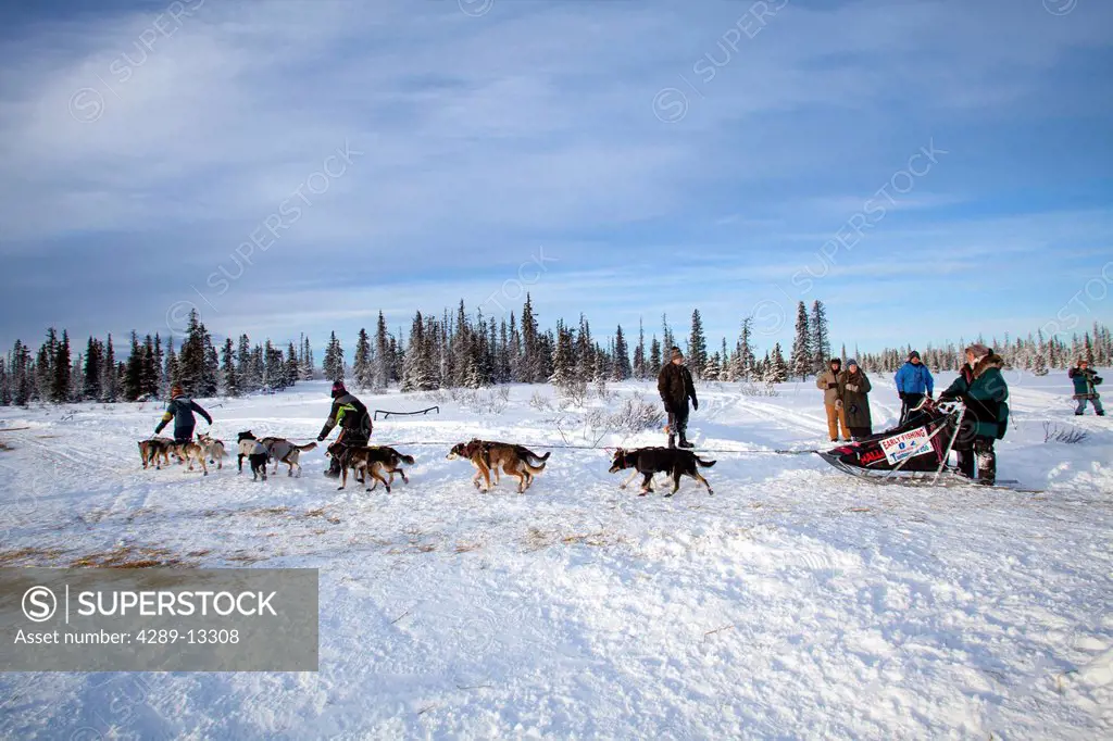 2012 Tustumena 200 Sled Dog Race at McNeil Canyon Elementary School near Homer, Kenai Peninsula, Southcentral Alaska, Winter