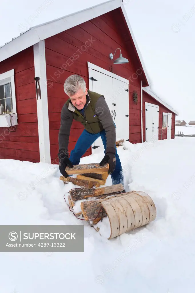 Man hauls a cut Christmas tree home by sled to a rural ranch on a foggy morning, Stanley, Idaho, Winter