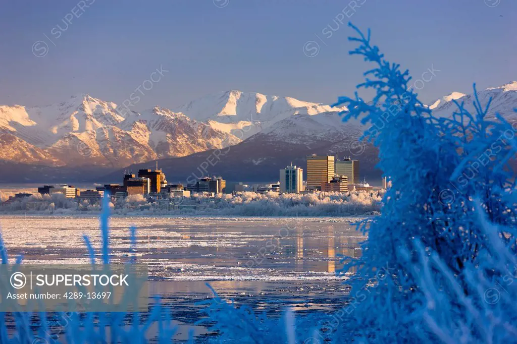 Hoarfrost covers trees along the Anchorage skyline with an icy Cook Inlet in the foreground on a cold mid winter day, Southcentral Alaska