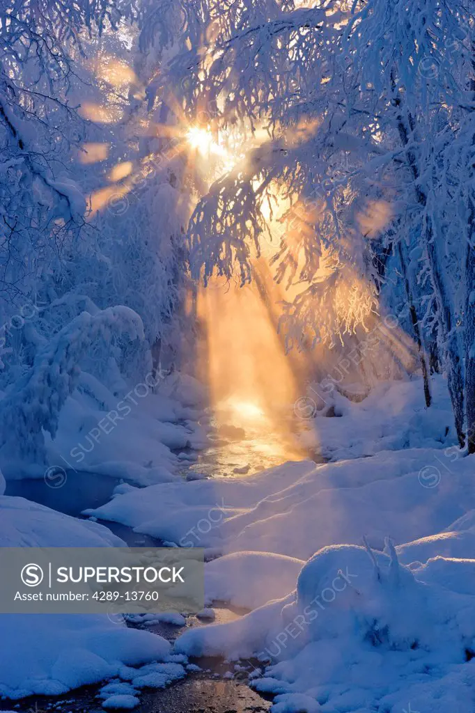 Small stream in a hoarfrost covered forest with rays of sun filtering through the fog in the background, Russian Jack Springs Park, Anchorage, Southce...
