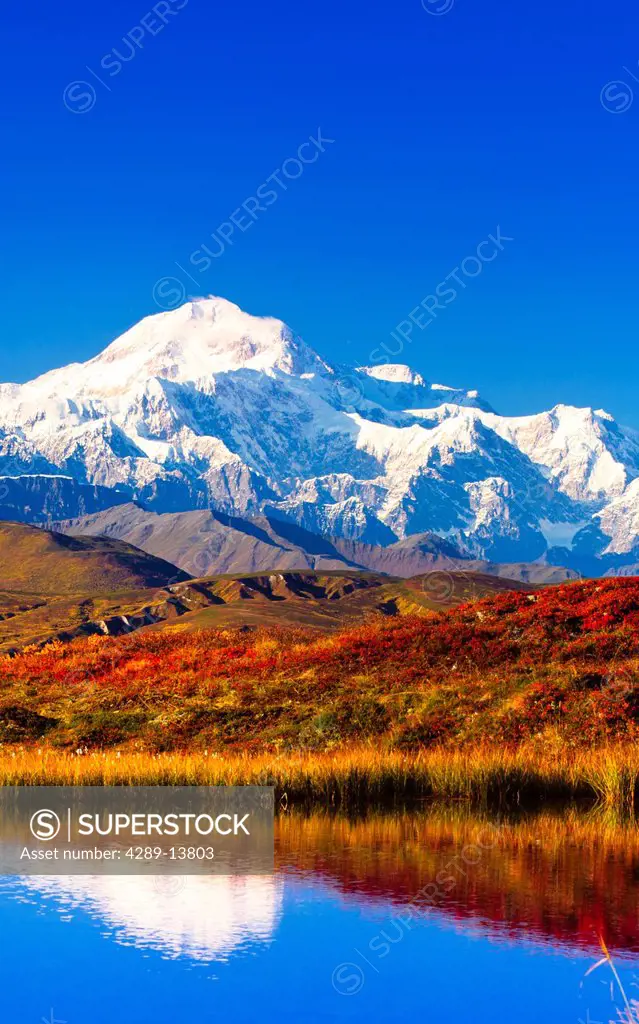 View of Peters Hills reflected in a pond with Mt. McKinley in the background, Denali State Park, Southcentral Alaska, Fall