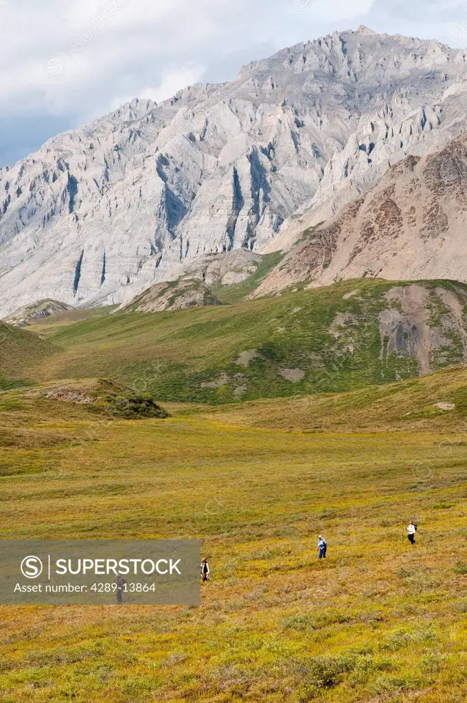 Mature hikers walk through tundra above the Marsh Fork of the Canning River Valley in the Brooks Range, Arctic National Wildlife Refuge, Alaska, Summe...