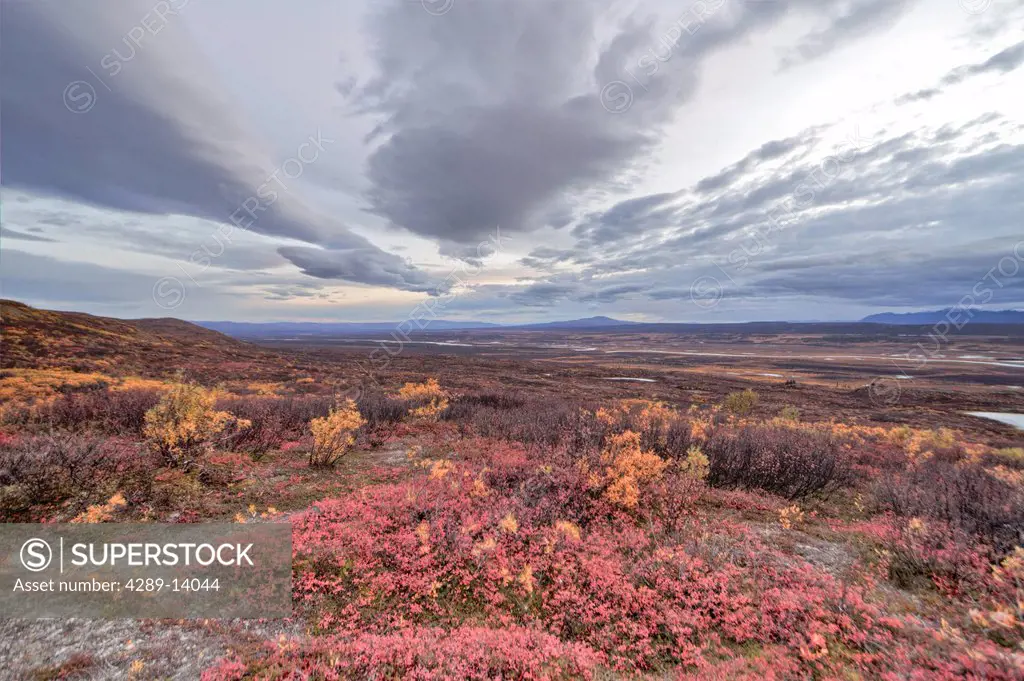 Landscape with storm cloud formation over the Maclaren River Valley, Southcentral Alaska, Autumn, HDR