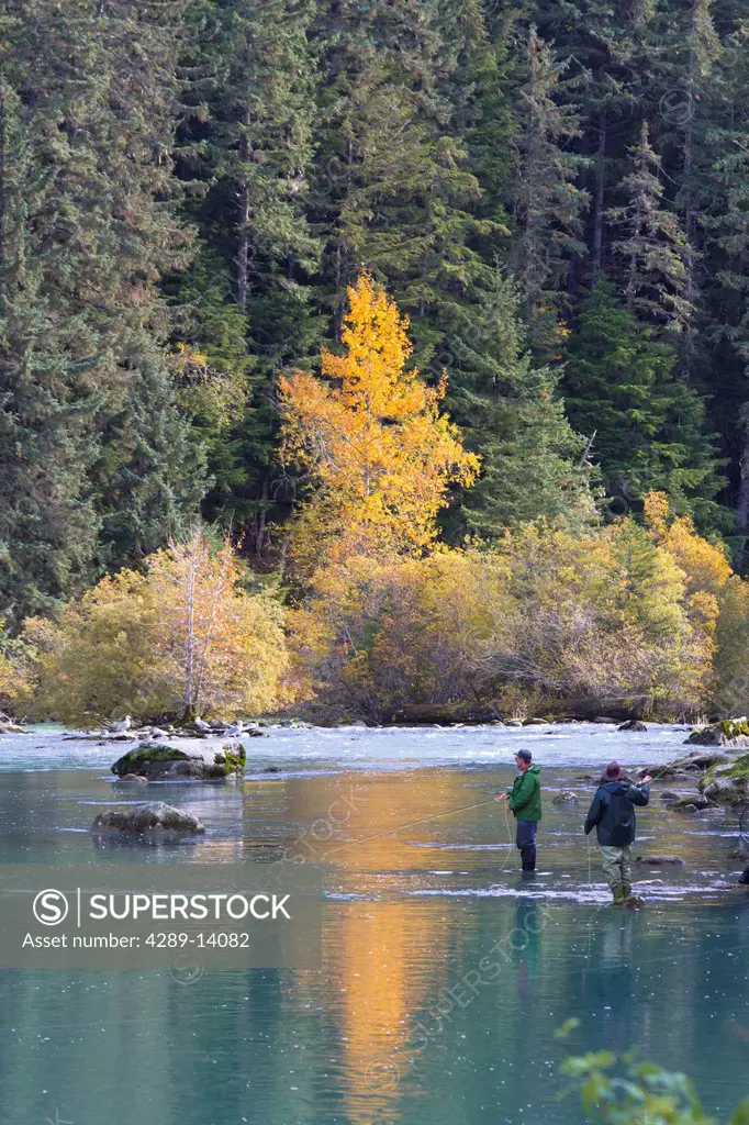 Two fly fisherman fish for salmon in the Chilkoot River near Haines, Southeast Alaska, Autumn