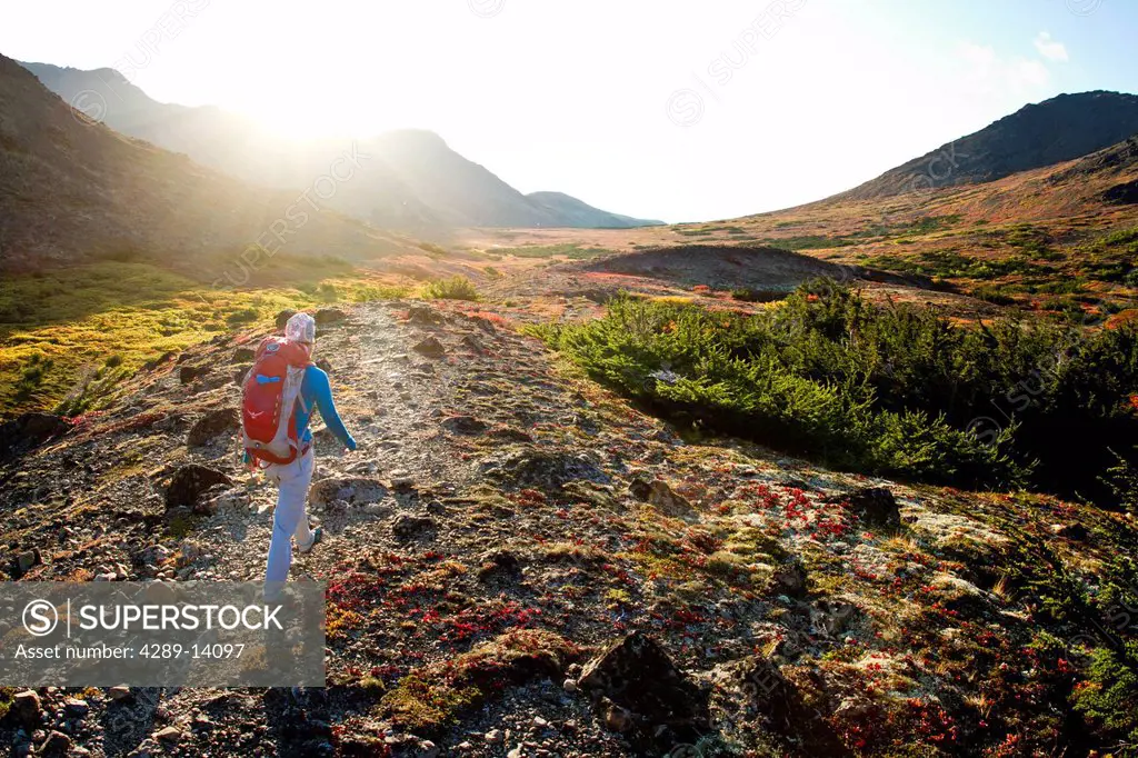 Woman hiking on trail in Glen Alps area of Chugach Mountains, Southcentral Alaska, Autumn