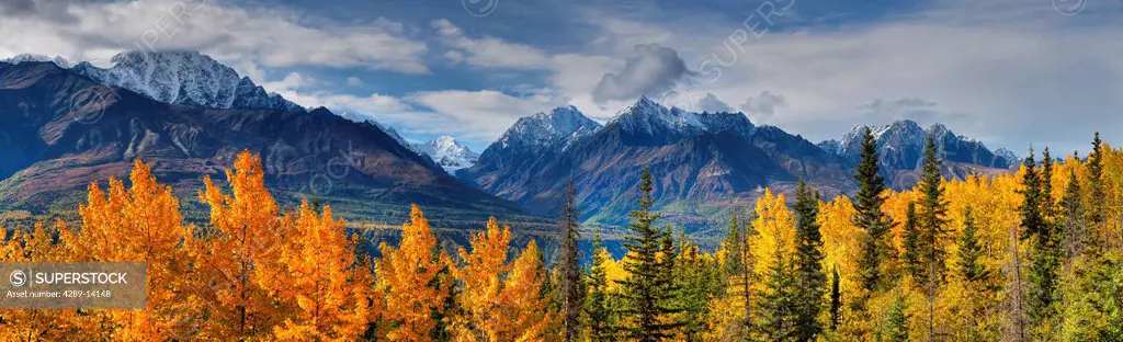 Panoramic view of the fall foliage and snowcapped Chugach Mountains along the Glenn Highway, Southcentral Alaska, Autumn, HDR