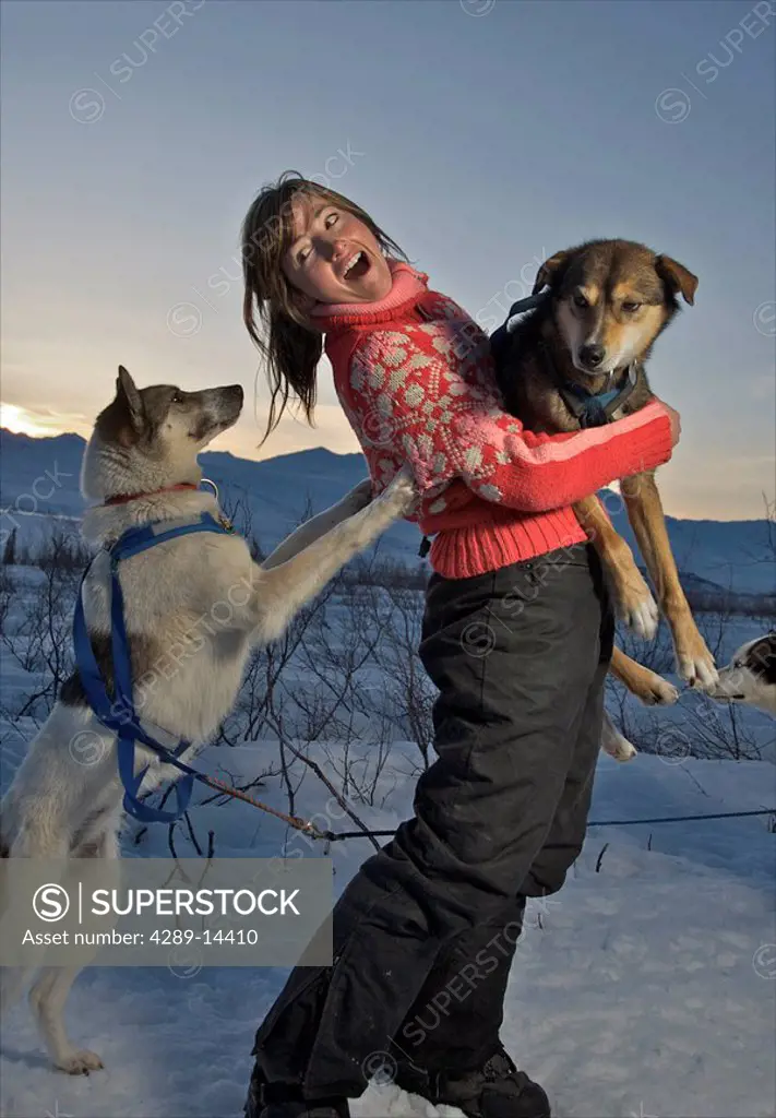 Alaskan Dog Musher, plays with her dogs along the Denali Highway, Alaska