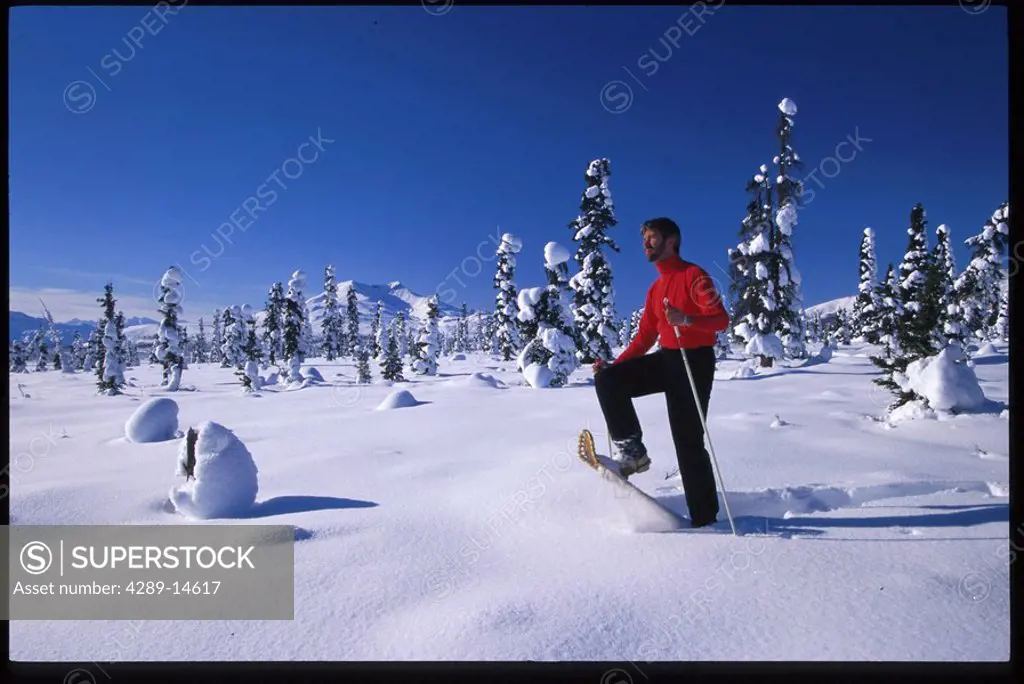 Showshoeing Gunsight Mtn Southcentral AK winter scenic