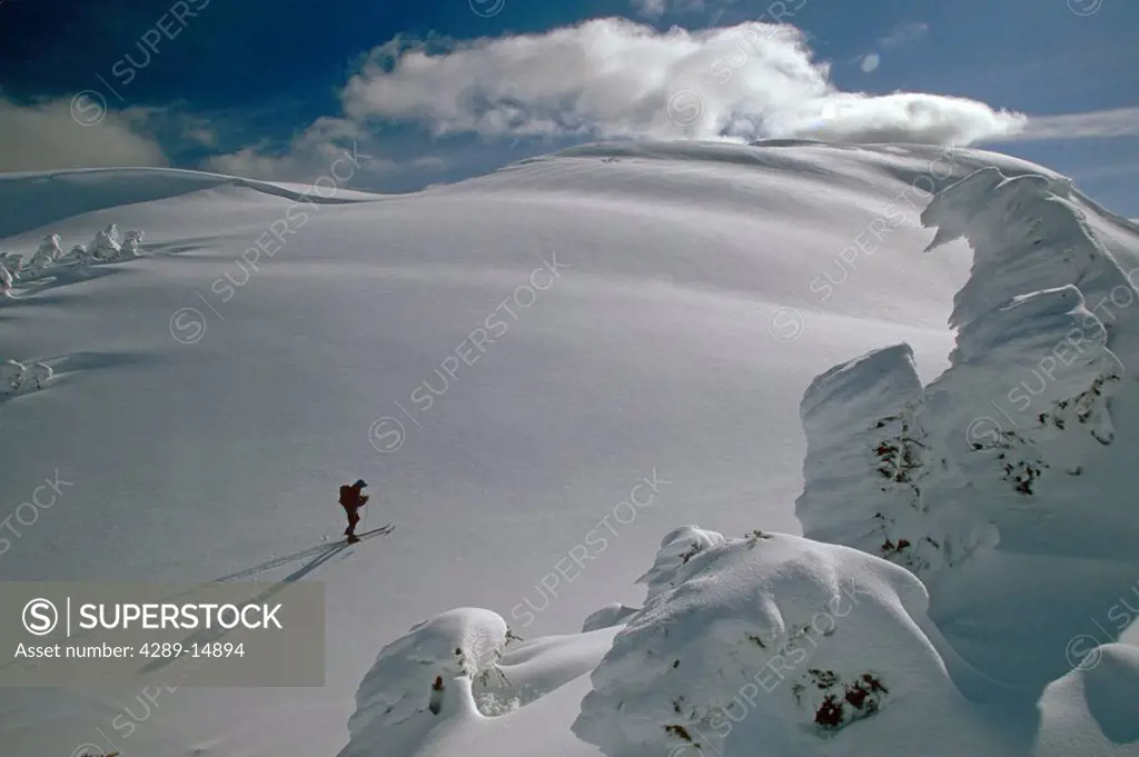 Person Skiing @ Douglas Island Southeast Alaska Winter Scenic