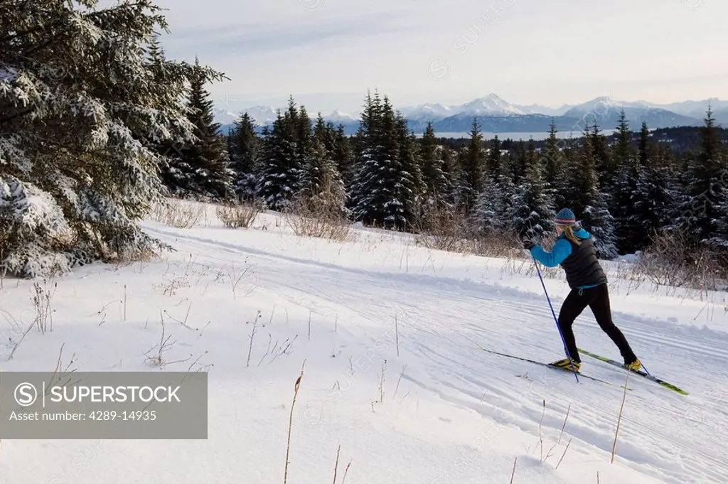 Woman Nordic skiing on the Baycrest Ski Trails in winter near Homer, Kenai Peninsula, Southcentral Alaska
