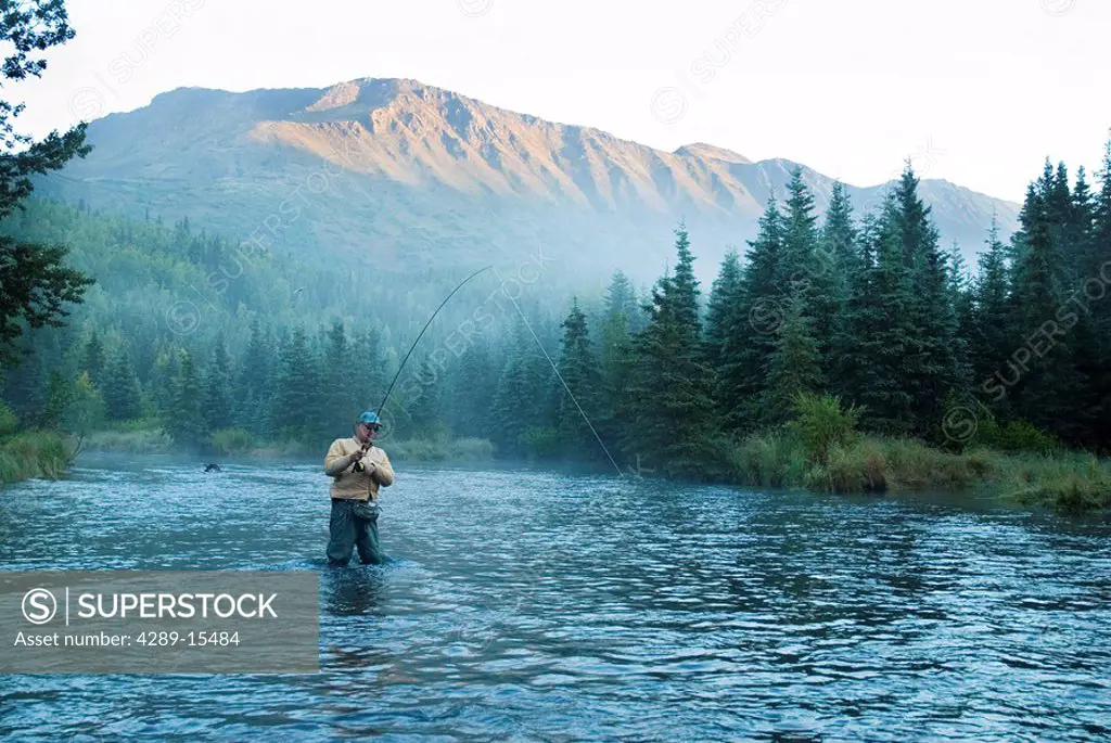 Fly Fisherman fights Dolly Varden on the line at Quartz Creek Kenai Peninsula Alaska Fall