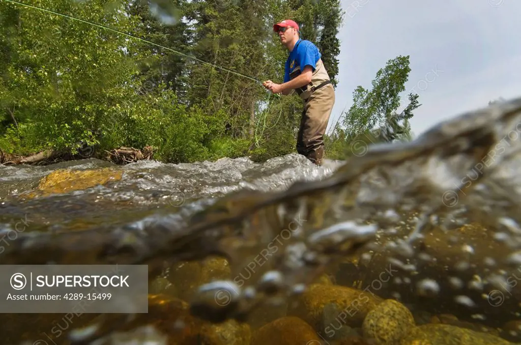 Underwater perspective of a fly fisherman fishing for rainbow trout in Montana Creek, Southcentral, Alaska