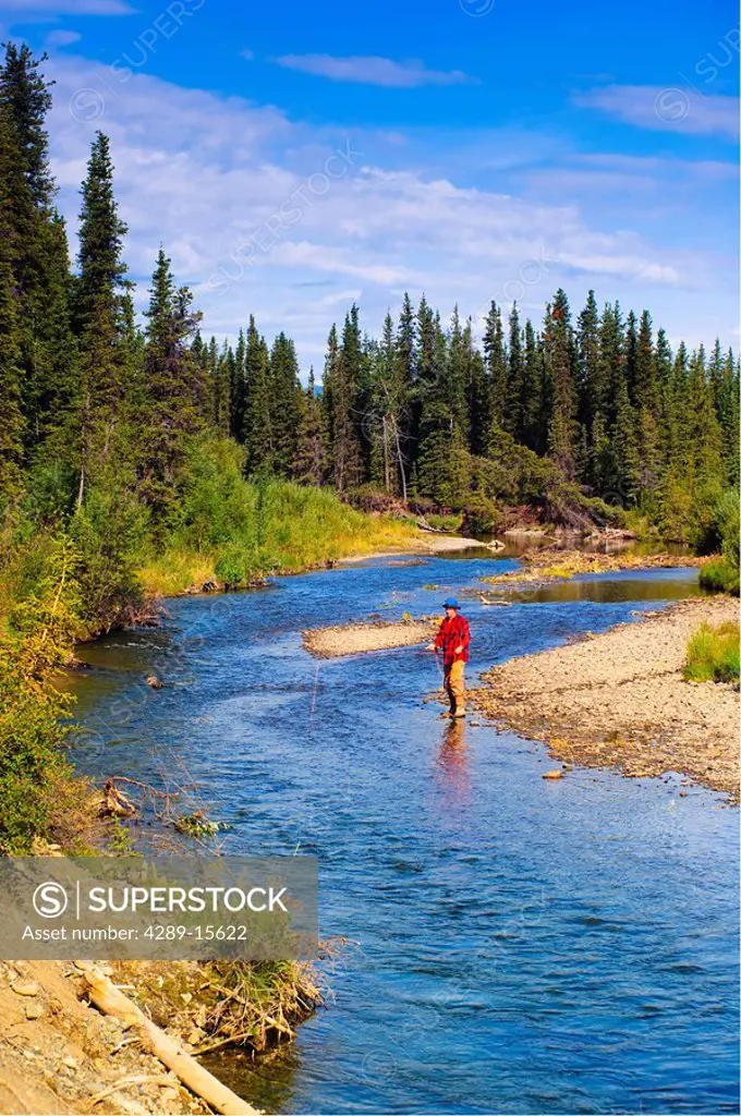 Man fly fishing for grayling, Jack Creek, Wrangell Saint Elias National Park, Southcentral Alaska, summer