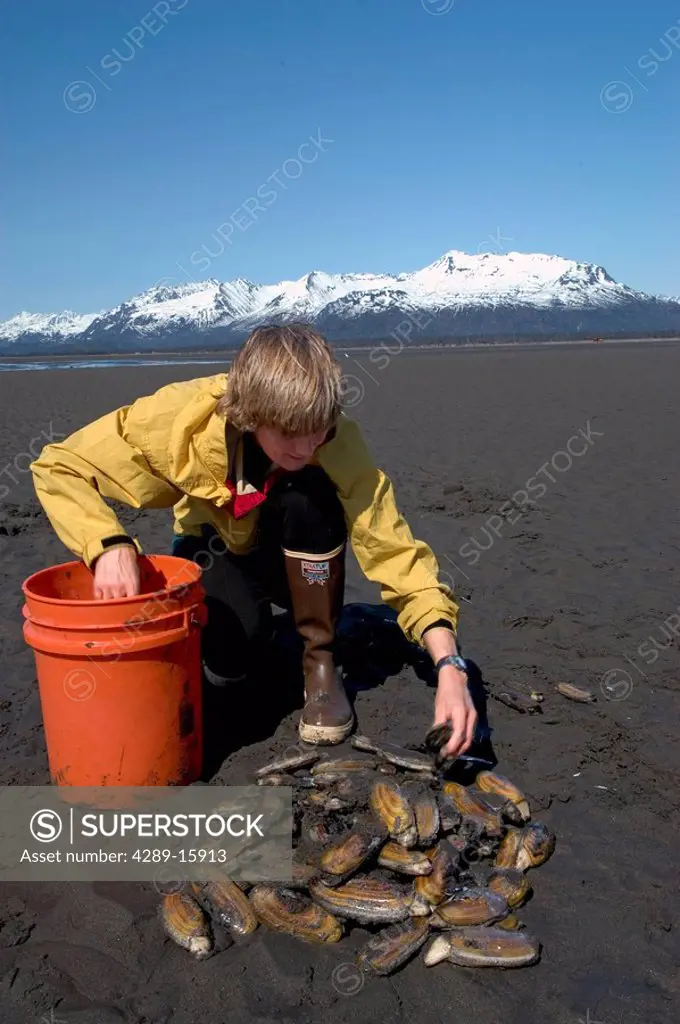 Family Digs for Razor Clams Tuxedni Bay Cook Inlet AK SC Spring Mt Iliamna