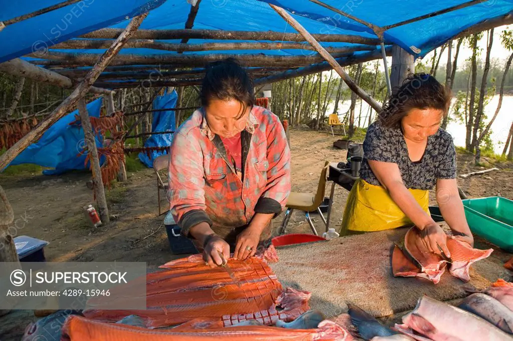 Native Yupik woman using Ulu to slice salmon fillets in preparation for drying Tuluksak Western Alaska