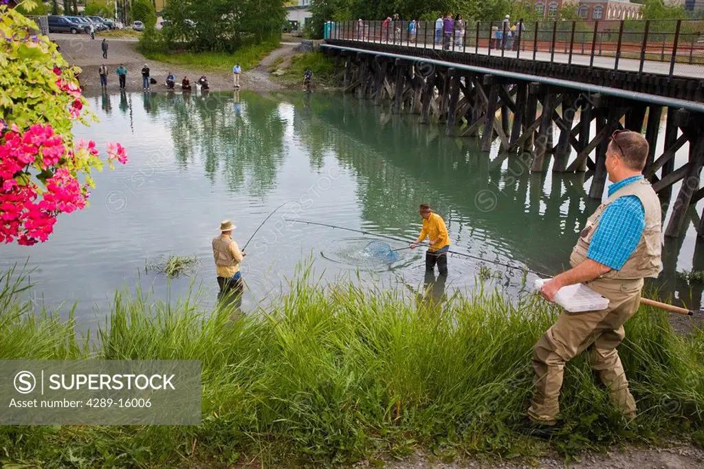 Men King Salmon fishing in Ship Creek near downtown Anchorage, Alaska during Summer