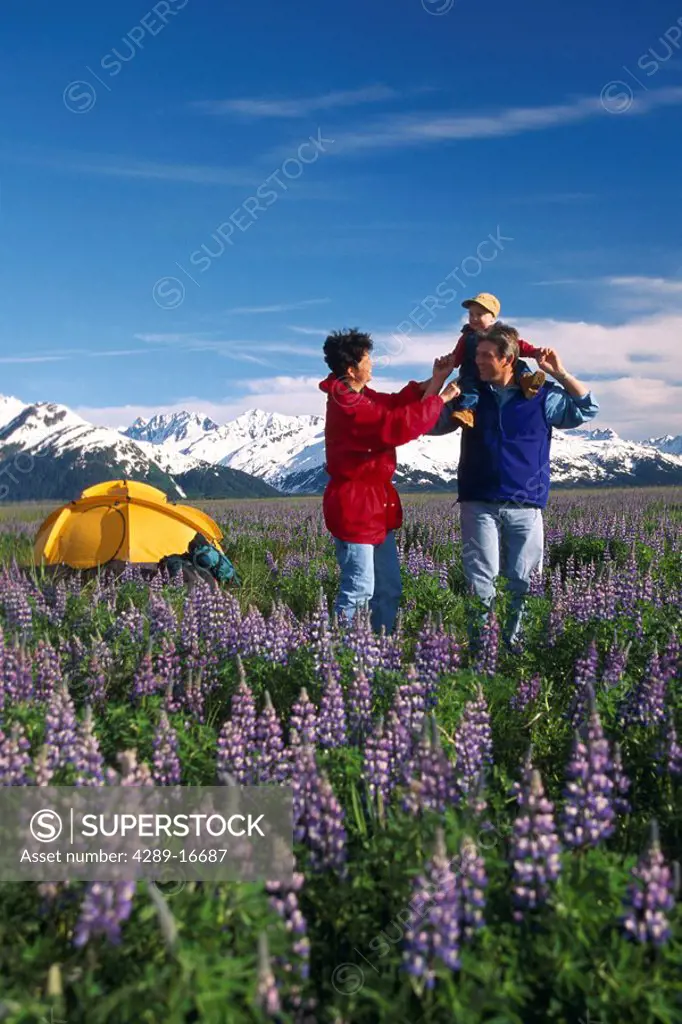 Family camping Chugach Mtns Turnagain Arm SC AK lupine fields summer scenic