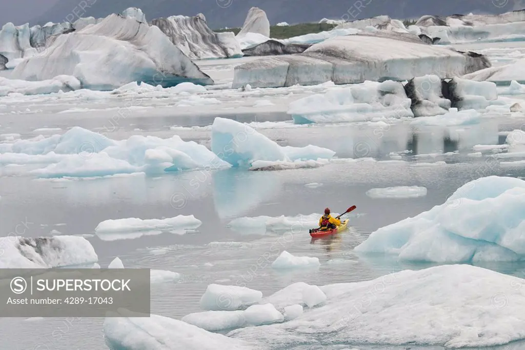 Man kayaking amongst large icebergs near Bear Glacier in Resurrection Bay near Seward, Alaska