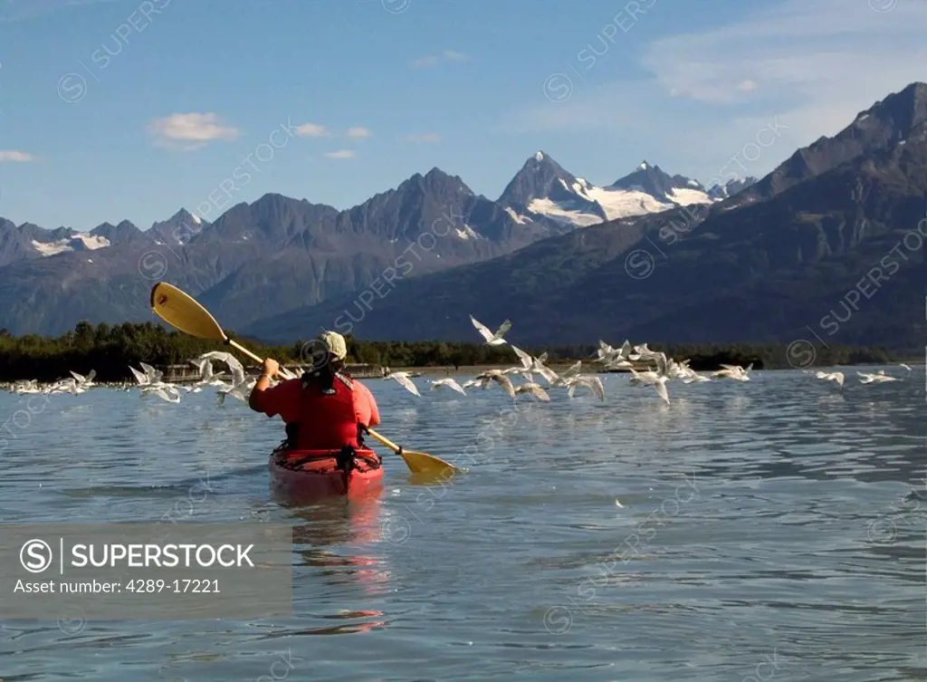 Woman Sea Kayaking in PWS near Valdez SC AK Autumn