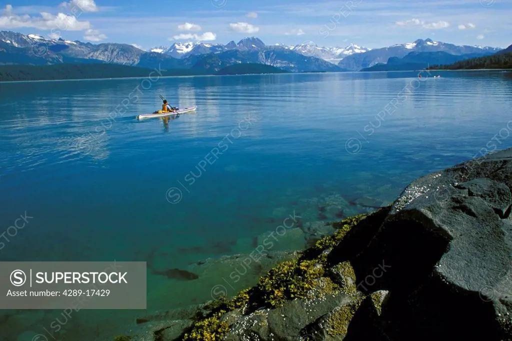 Kayakers In East Arm Of Glacier Bay NP SE AK