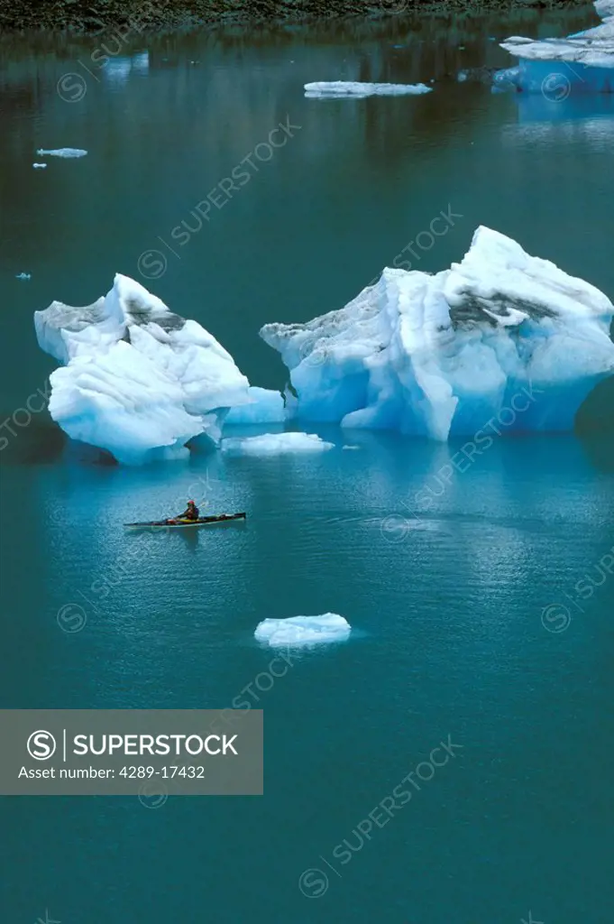 Kayakers Among Icebergs Glacier Bay NP SE AK