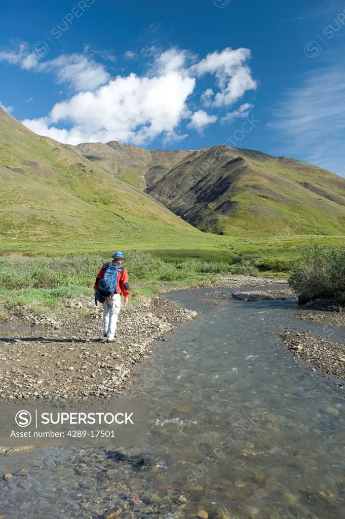 Man fills his water bottle while hiking along Chandalar River in the Brooks Range during Summer in Arctic Alaska