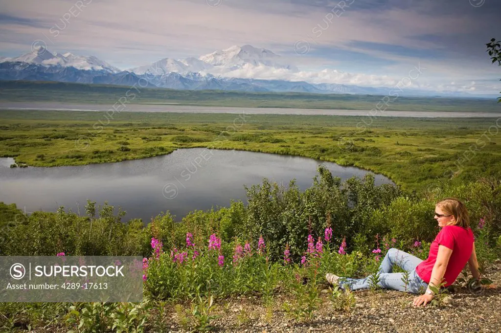 Young woman tourist sits among fireweed with a kettle pond amidst the summer tundra MtMcKinley in background Denali NP AK