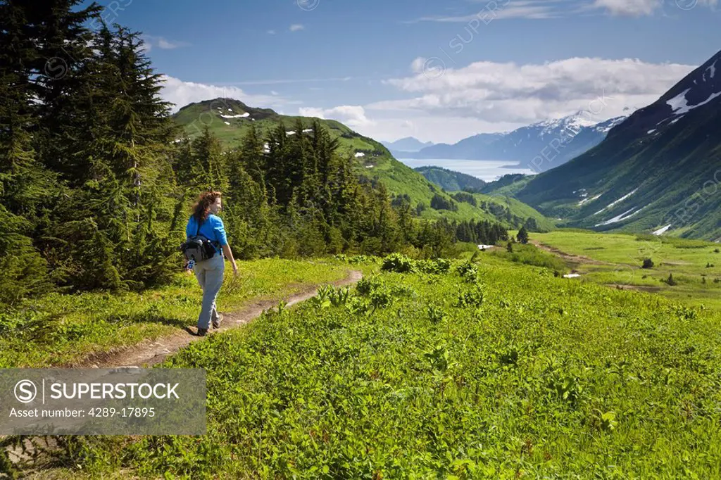 Woman hiking through a meadow on Lost Lake trail with a view of Kenai Mountains, Resurrection Bay and Seward, Alaska during Summer