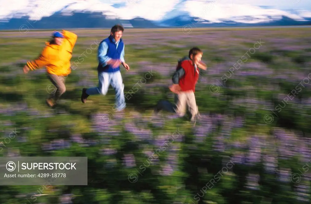 Family runs lupine Chugach Mtns Turnagain Arm SC AK summer scenic
